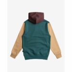 SUDADERA BILLABONG ARCH BLOCK PO REAL TEAL | Mechanic