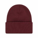 GORRO ELEMENT DUSK CLASSIC TAWNY PORT | Mechanic