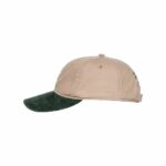 GORRA ELEMENT X NATURE CALLS GLOBE SILVER MINK | Mechanic