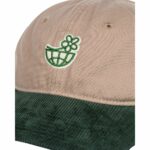 GORRA ELEMENT X NATURE CALLS GLOBE SILVER MINK | Mechanic