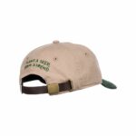 GORRA ELEMENT X NATURE CALLS GLOBE SILVER MINK. Mechanic Tienda de Ropa