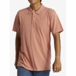 POLO QUIKSILVER DNA CANYON CLAY | Mechanic