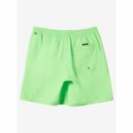 BAÑADOR EVERYAY SOLID VOLLEY 15´ GREEN GECKO. Mechanic Tienda de Ropa