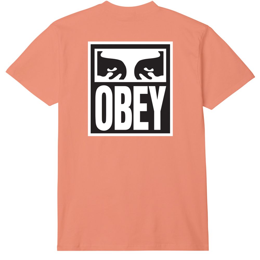 CAMISETA OBEY EYES ICON 2 CITRUS | Mechanic