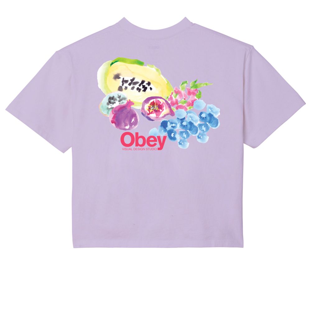 CAMISETA OBEY SOFT FRUIT ORCHID PETAL | Mechanic