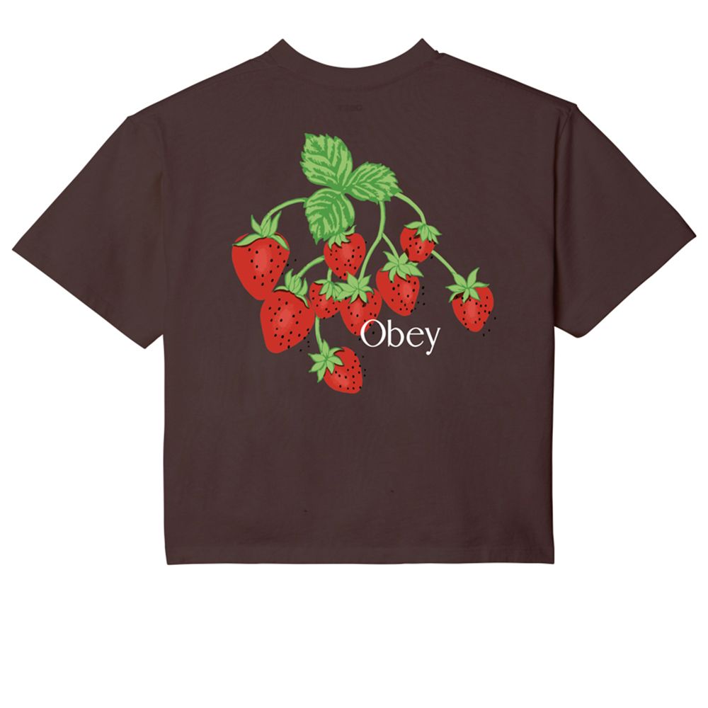 CAMISETA STRAWBWRRY BUNCH JAVA BROWN | Mechanic