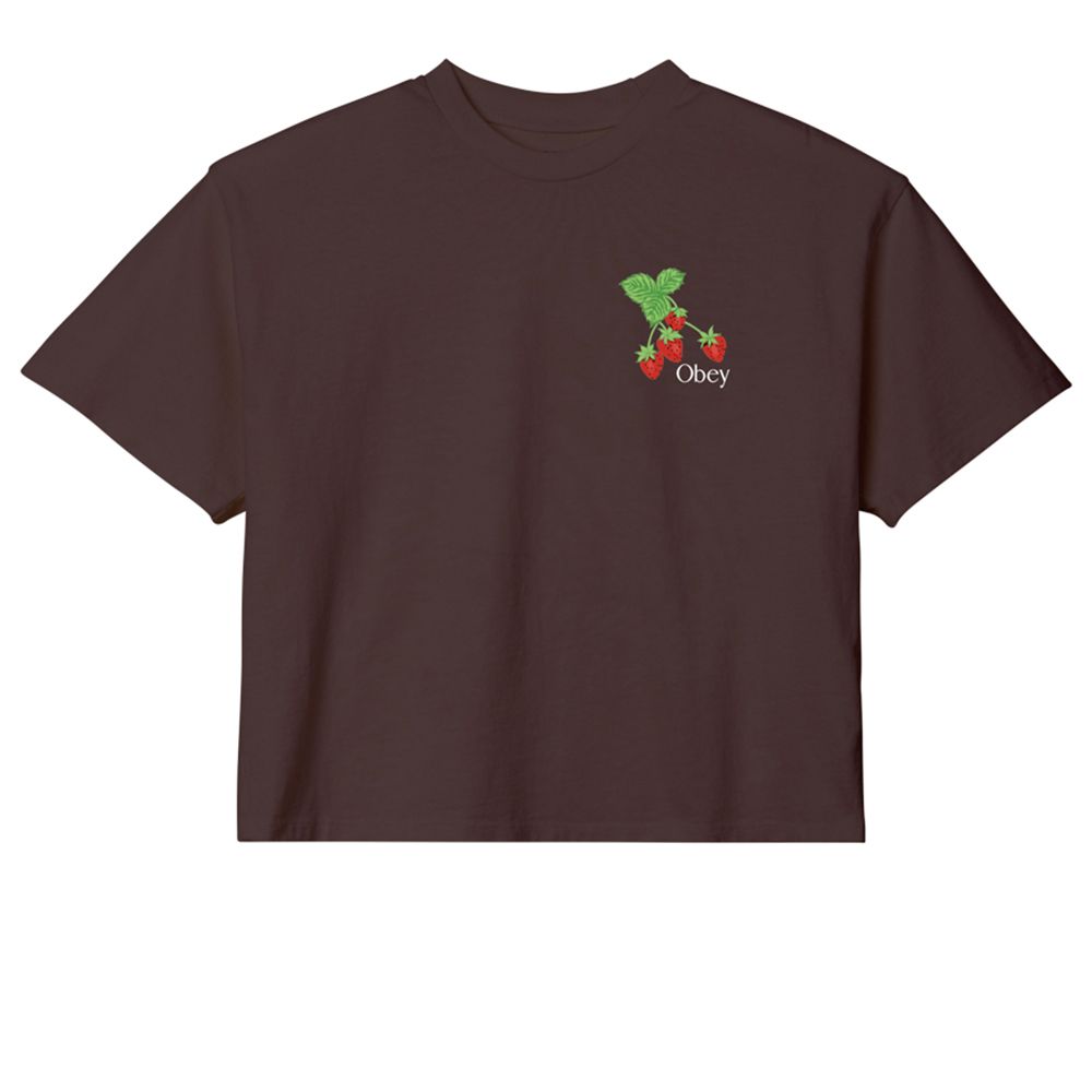 CAMISETA STRAWBWRRY BUNCH JAVA BROWN | Mechanic