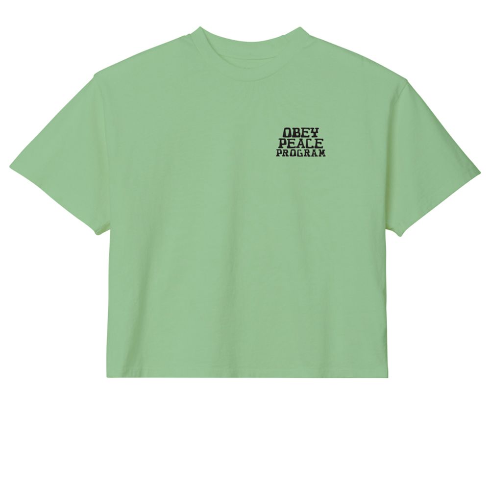 CAMISETA OBEY PEACE PROGRAM QUIET GREEN | Mechanic