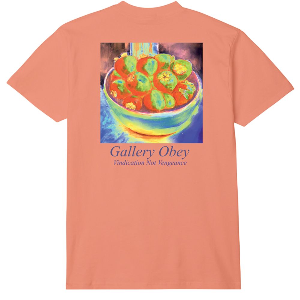 CAMISETA GALLERY OBEY CITRUS | Mechanic