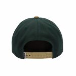 GORRA OBEY 2 TONE 6 PANEL SNAPBACK SPRUCE MULTI | Mechanic