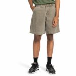 PANTALON CORTO ELEMENT CARPENTER CANVAS STONE GRAY | Mechanic