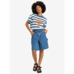 CAMISETA QUICKSILVER BOYFRIEND CROP STRIPED | Mechanic