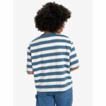 CAMISETA QUICKSILVER BOYFRIEND CROP STRIPED | Mechanic