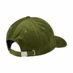 GORRA DC SHOES DC CAP STAR BRONZE GREEN. Mechanic Tienda de Ropa