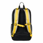 MOCHILA DC SHOES  ALL TERRAIN BEIGE PELICAN | Mechanic