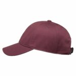 GORRA ELEMENT ICON DAD TWILL NOCTURNE. Mechanic Tienda de Ropa