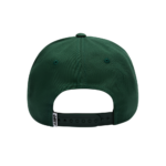 GORRA OBEY DELTA 5 PANEL SNAPBACK SPRUCE | Mechanic