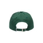 GORRA OBEY BOLD CURVE 6 PANEL STRAPBACK SPRUCE | Mechanic