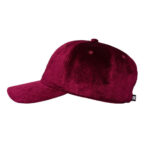 GORRA DC SHOES SOFT DRIP FIG | Mechanic